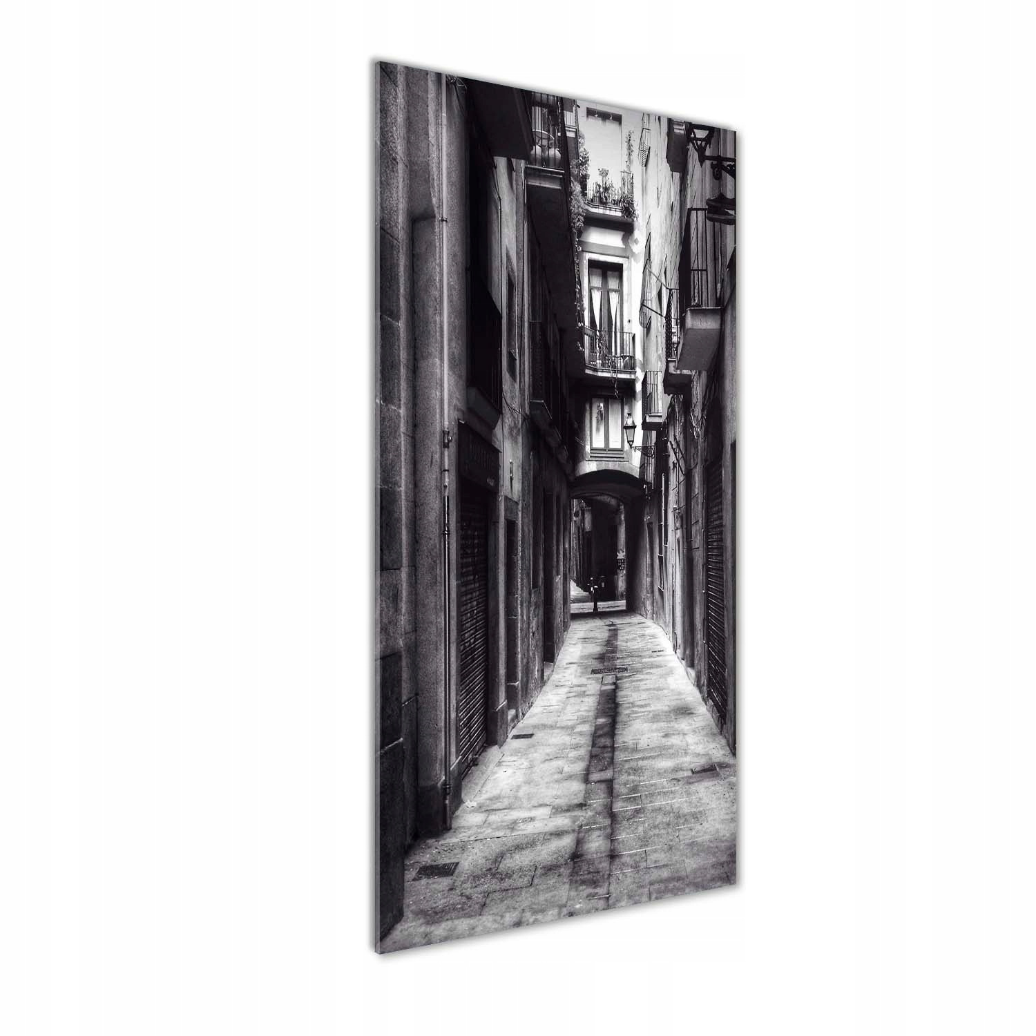

Foto obraz na szkle Barcelona Hiszpania 50x125 cm