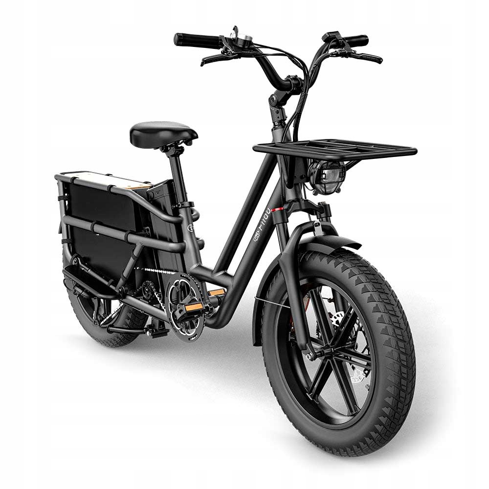Rower elektryczny Cargo Fiido T2-2025 (20'') Fatbike Grey