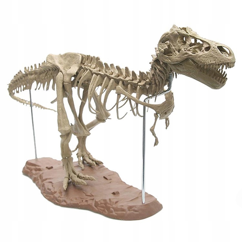 model dinozaura szkielet figurka - dinosaur
