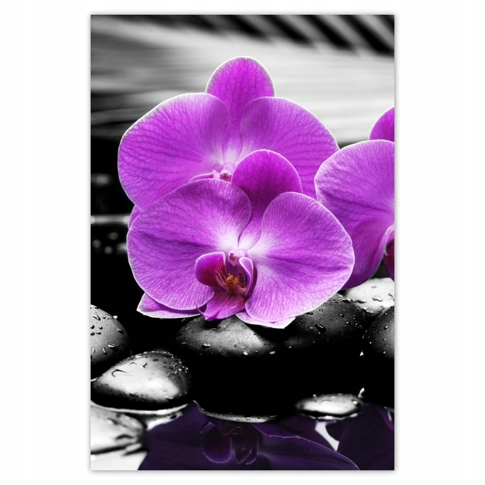 

Plakat 62x93 Fioletowe oleandry