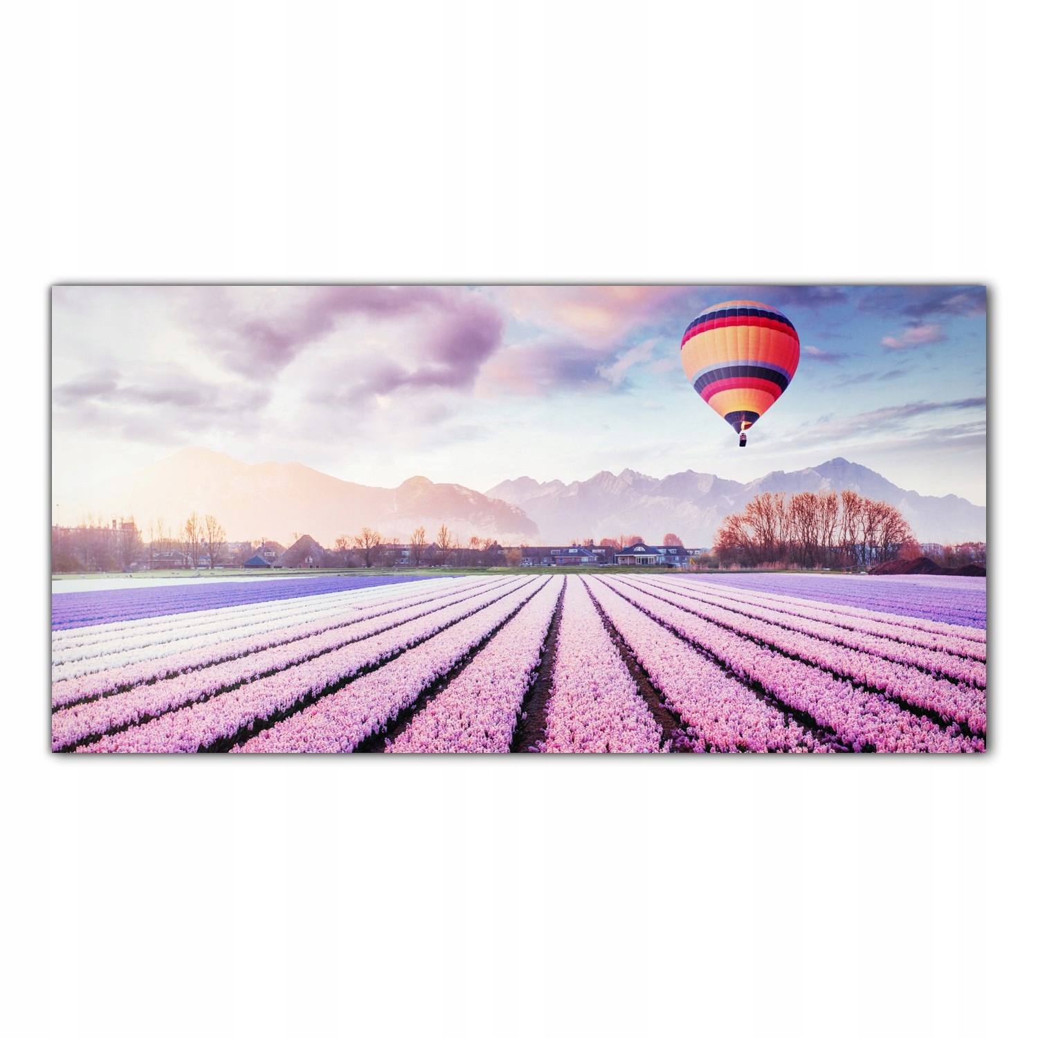 

Obraz Szklany Foto-obraz Pole Łąka Kwiaty 100x50