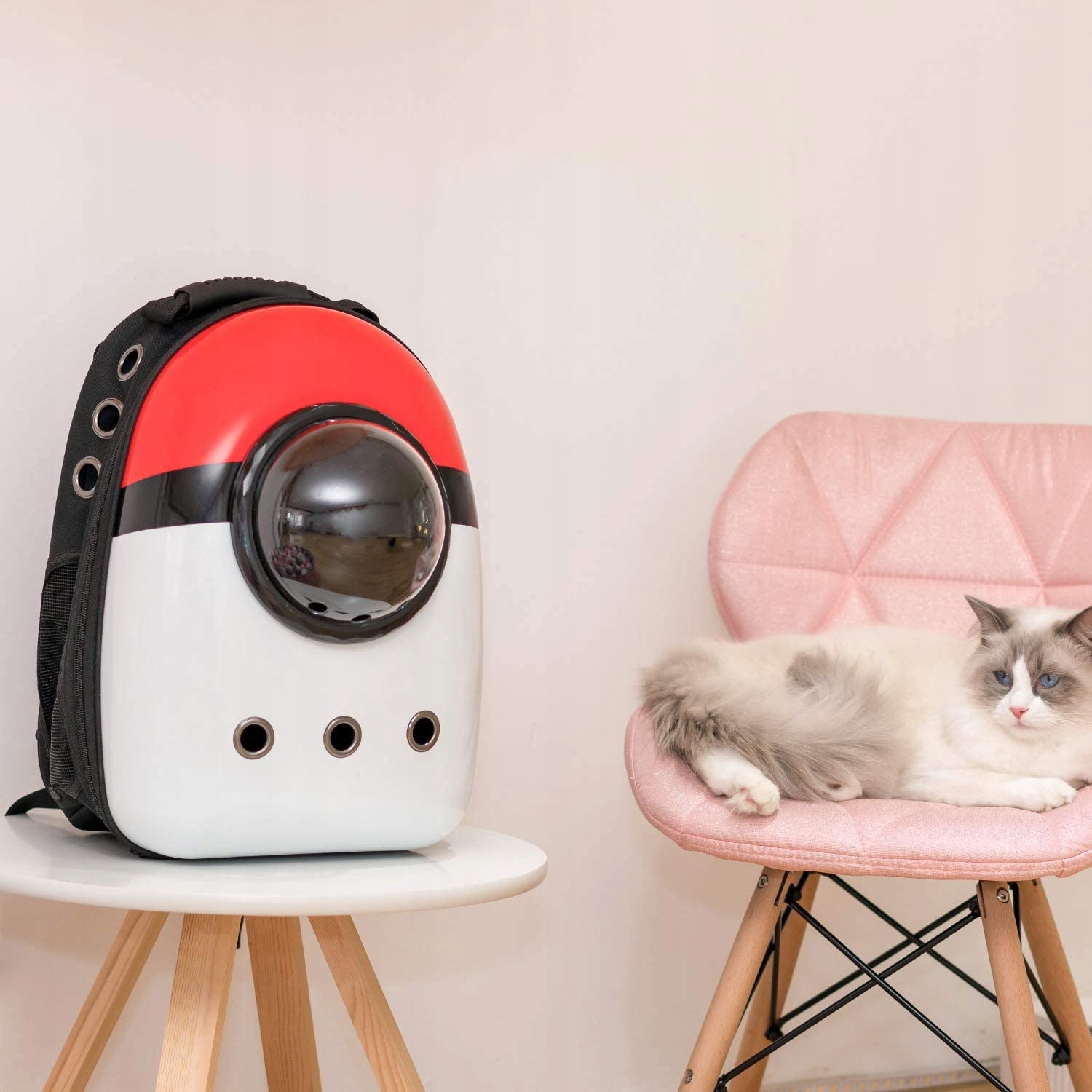 TRANSPORTER PLECAK TORBA DLA KOTA PSA KOSMICZNY POKEMO WODOODPORNY Rodzaj torba