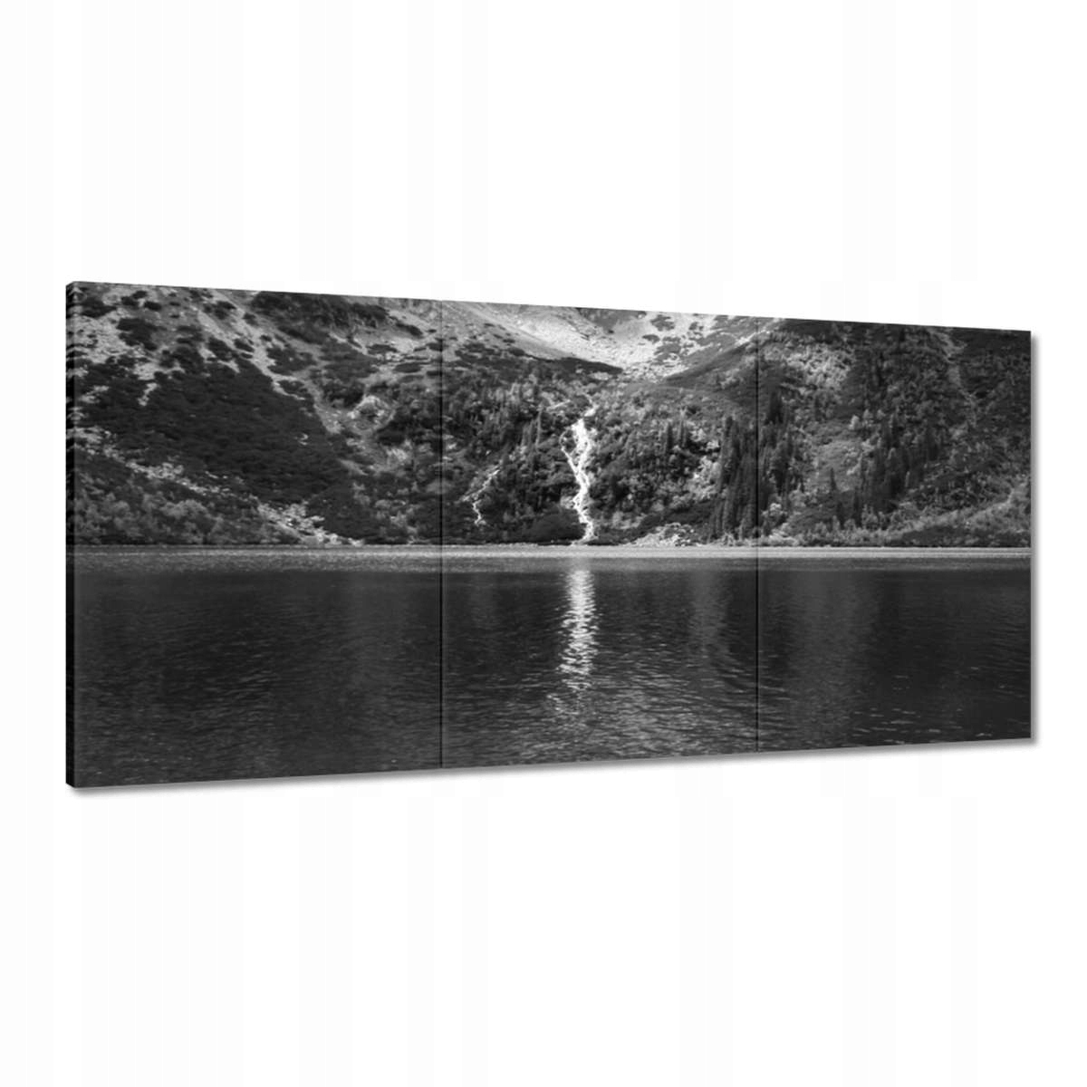 Obrazy 180x90 Tatry Poľské hory Pohľad
