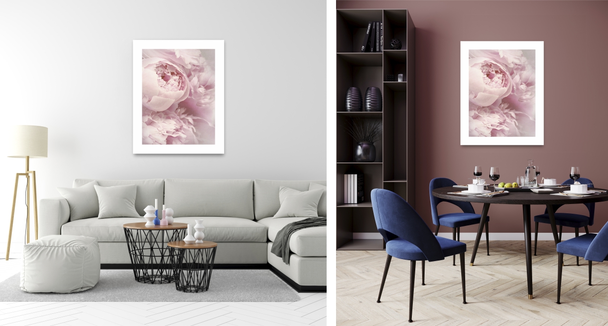 PIWONIE PEONIE KWIATY plakat A1 59,4x84cm #122 Rodzaj bez ramy