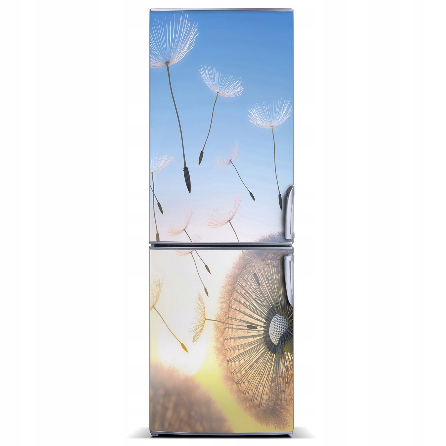 

Naklejka magnetyczna Magnes Dmuchawiec 60x180