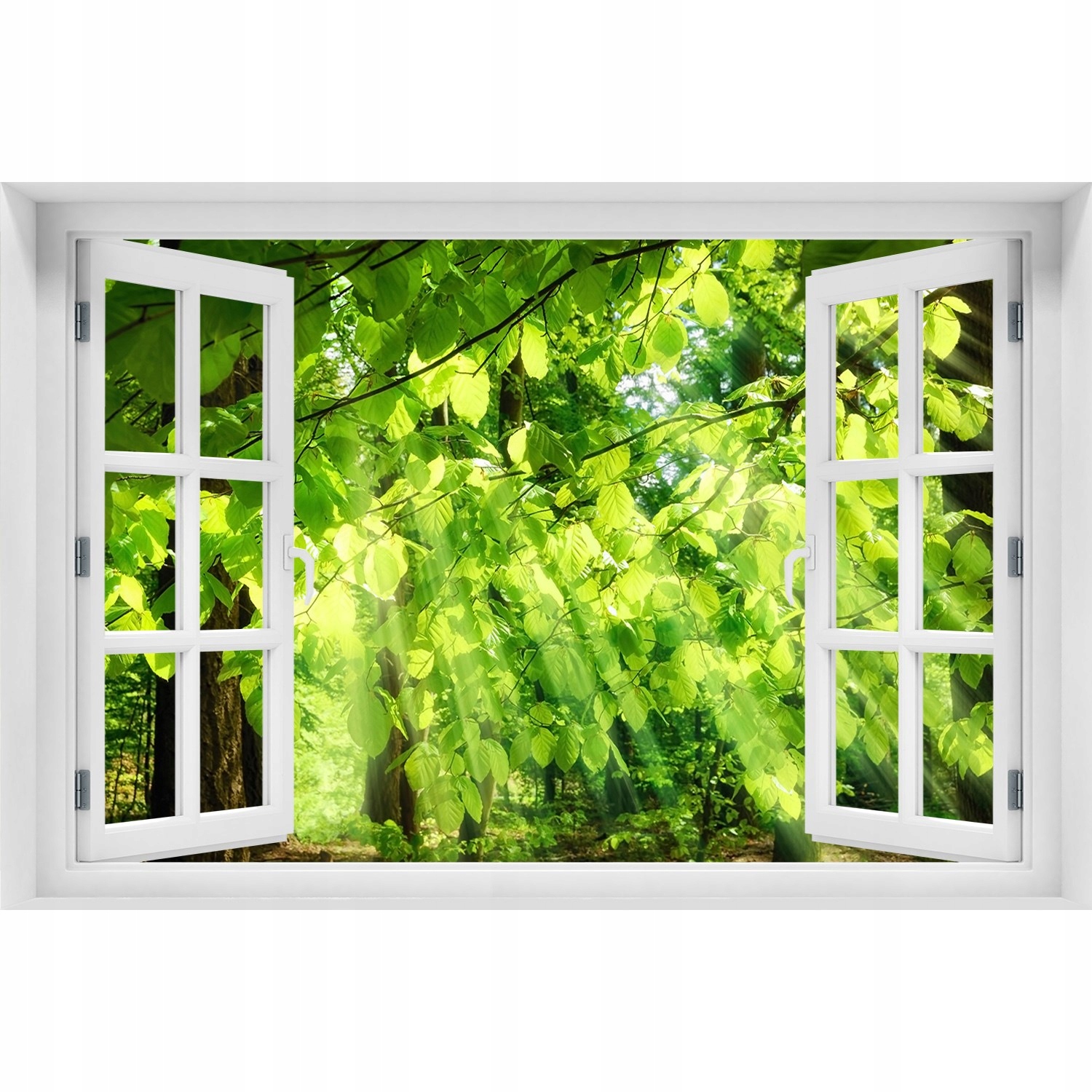

Naklejka fototapeta Okno widok Liście buku 150x100