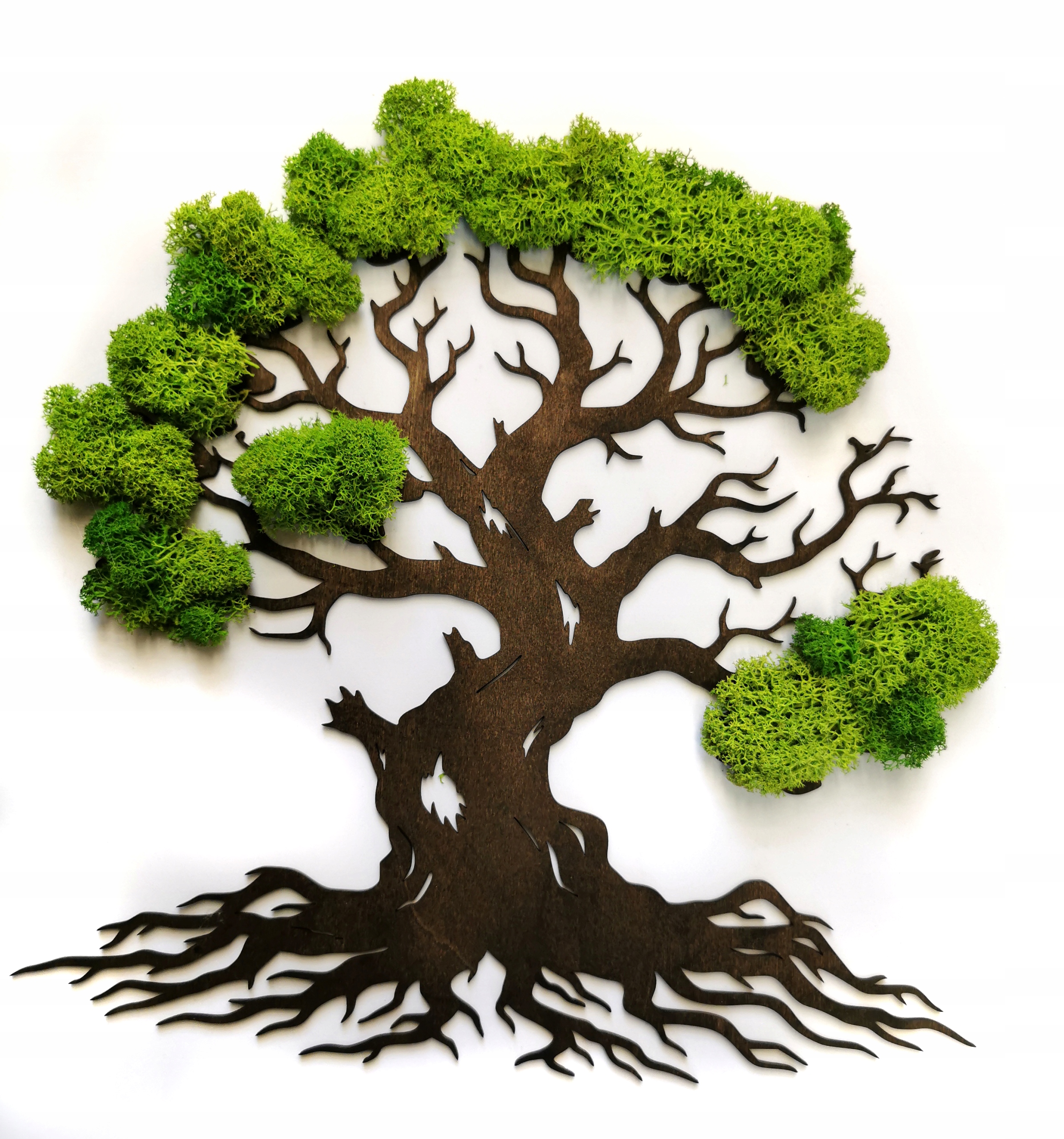 Obraz Dřevo Mech 60cm/60cm chrobotek bonsai Dekorace Do Obývacího Pokoje