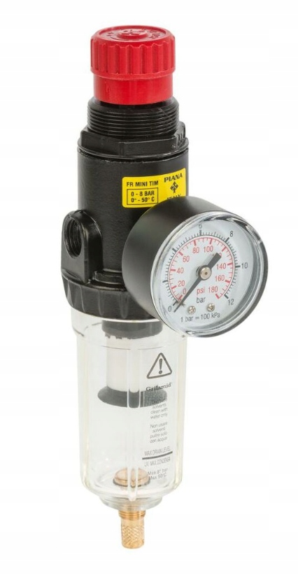 Filtr z manometrem 1/4" 10834411 DEXTER