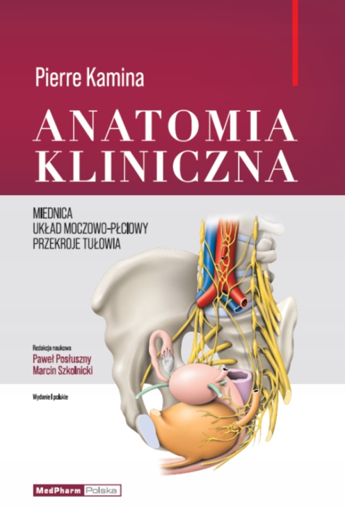 Anatomia Kliniczna Miednica, Układ Moczowo-Płciowy, Przekroje Tułowia