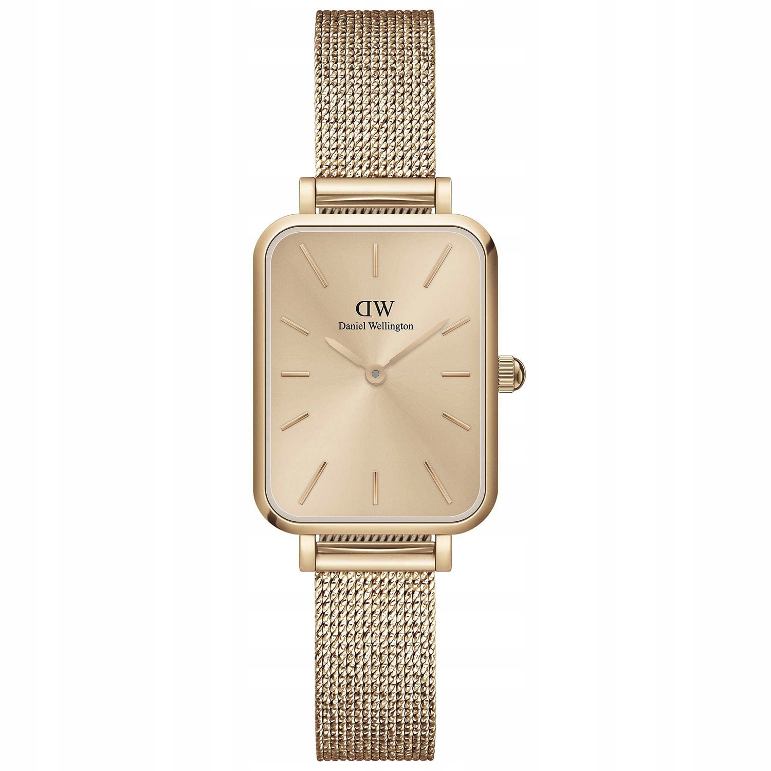 Dámské hodinky Daniel Wellington DW00100484 růžové zlato