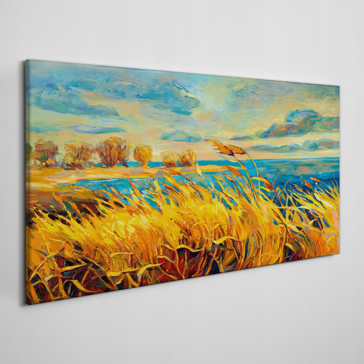 

Obraz na płótnie do salonu Pole niebo morze 120x60
