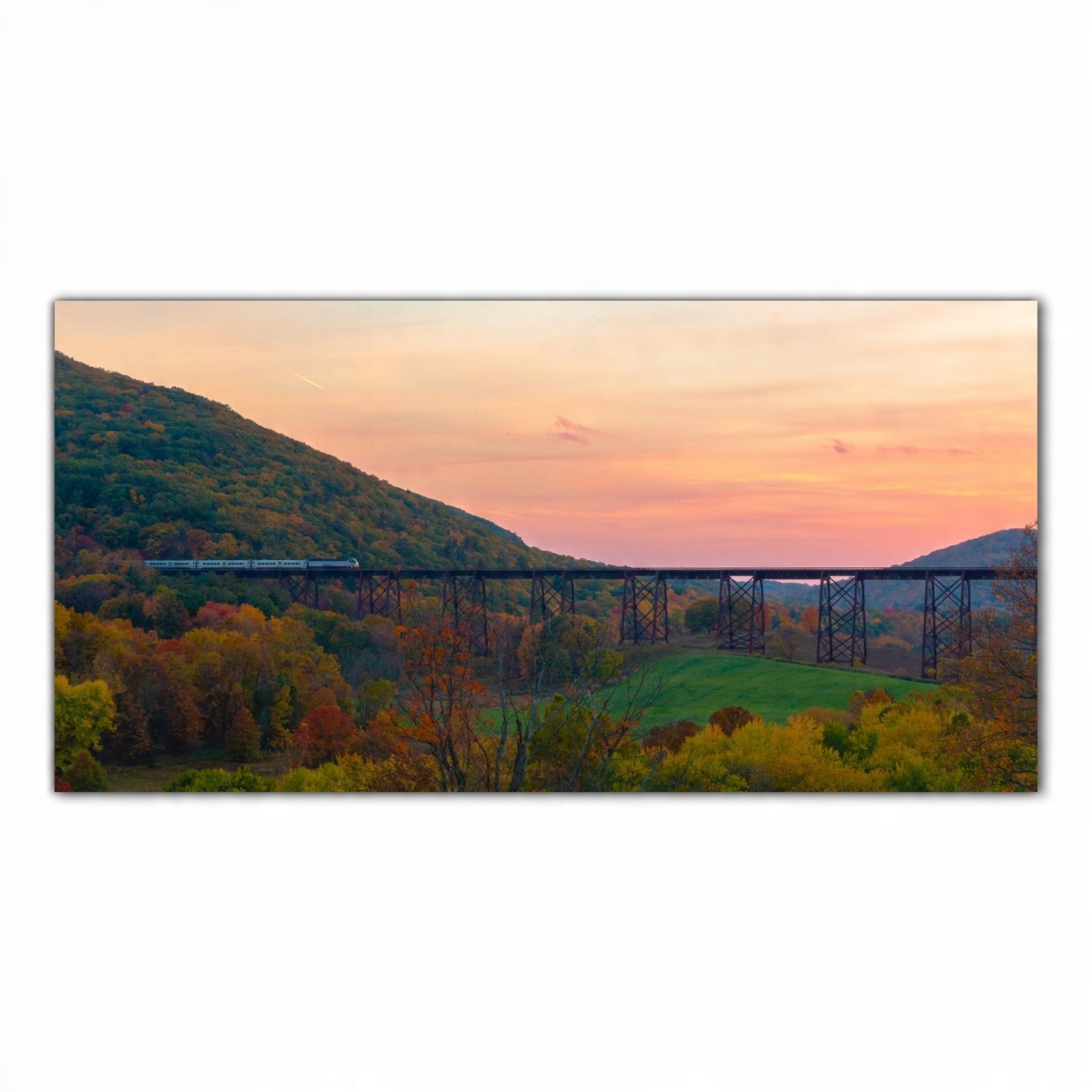 

Obraz na szkle Foto Pociąg Most Transport 120x60