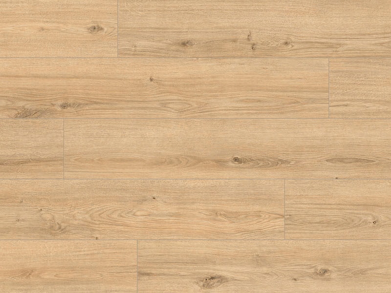 CLASSEN ARTEO 8 M WR DĄB NAMIB panele podłogowe