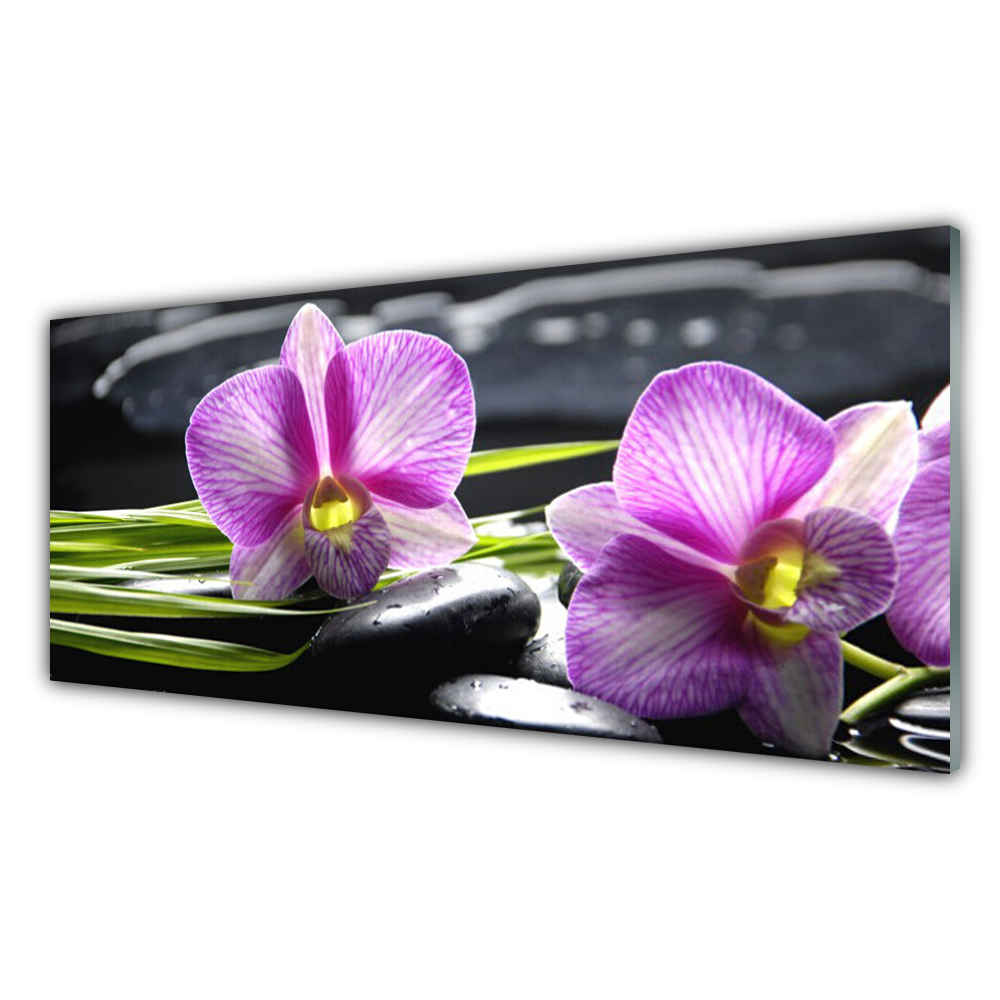 

Fotoobraz ścienny 125x50 Storczyk Kamienie Zen Spa