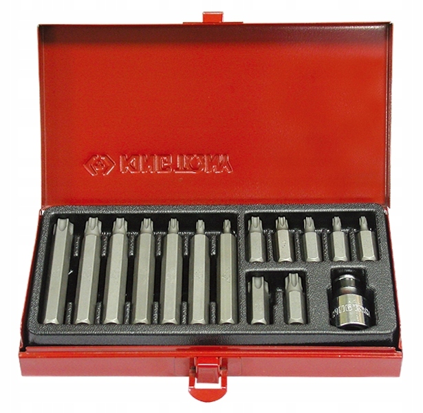 KING TONY Zestaw bitow 10mm TORX T20 T55 15szt