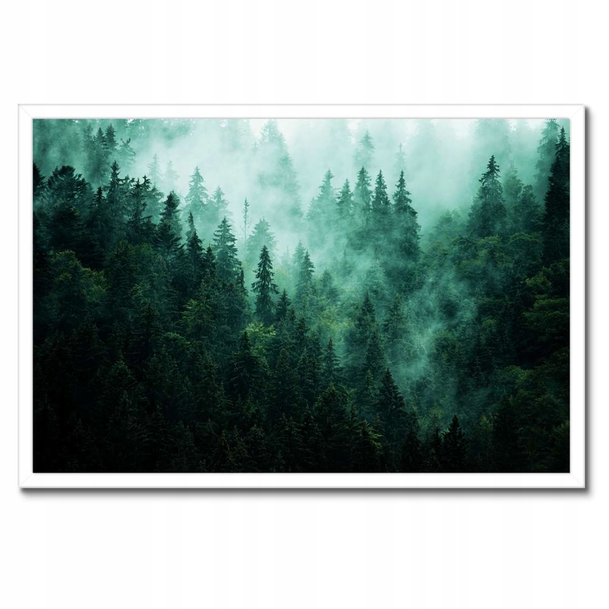 Plakáty v rámu 60x40 Les Mlha Krajina Cestování