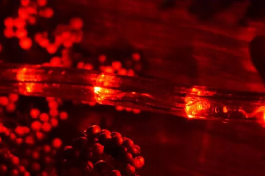 WĄŻ ŚWIETLNY LED CZERWONY NA METRY ZEWNĘTRZNY Długość sznura 1 m