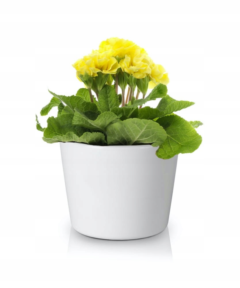 CERAMICZNA OSŁONKA DONICZKA 12CM BIAŁA Marka Polnix