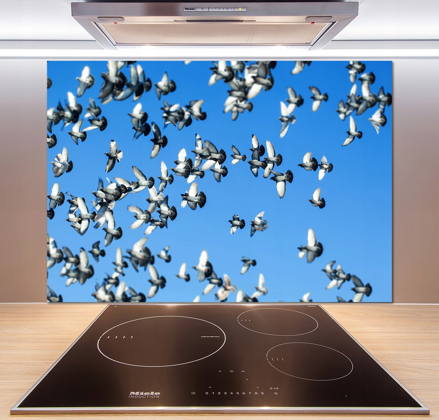 

Panel dekor szkło Stado gołębi 100x70 cm + Klej