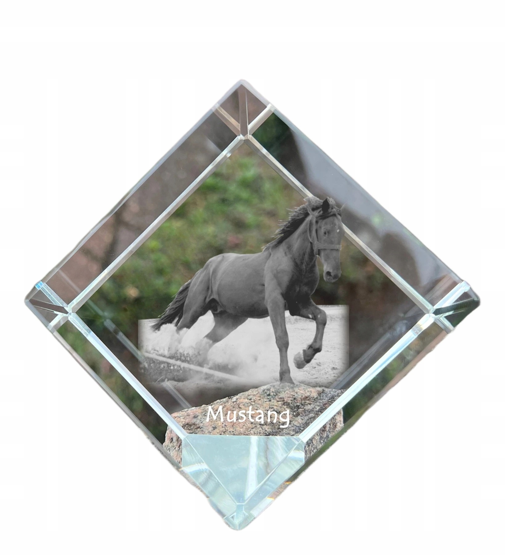Kôň Mustang krištáľová kocka s fotografiou koňa, ozdoba do kancelárie