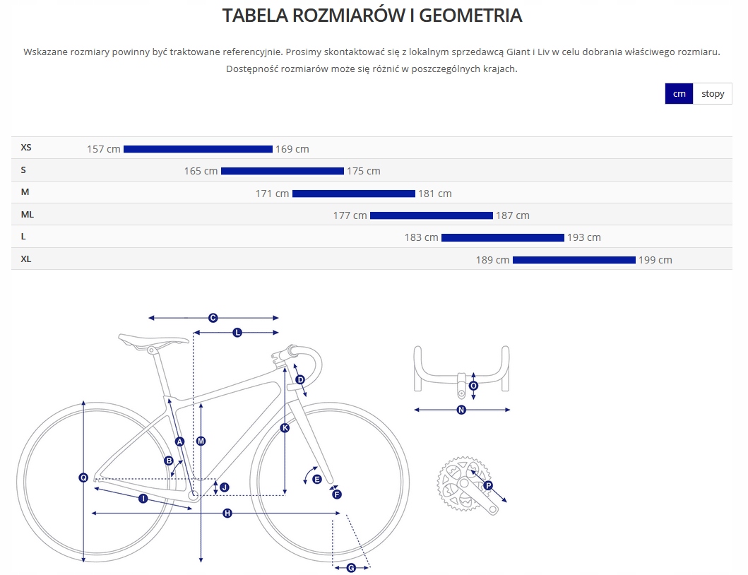 GIANT CONTEND 2 M 19,7'' 50cm SZOSOWY ROK 2022 Marka Giant