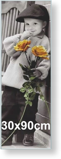 Rama aluminiowa do obrazu, zdjęcia lub plakatu 30x90 cm, srebrna matowa