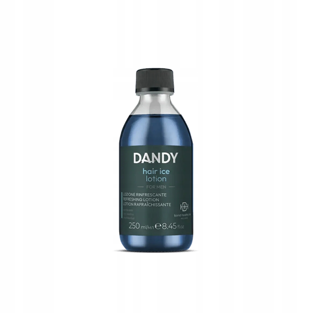 Dandy Mentolové mléko na led 250 ml