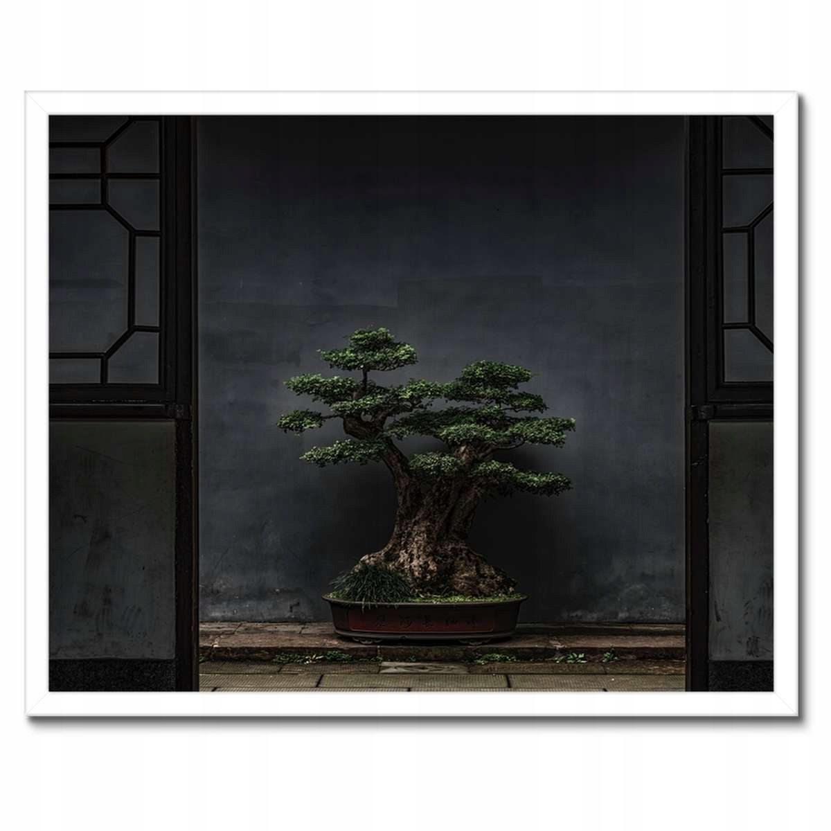 Plakáty v rámu 50x40 Bonsai Stromek Kultura