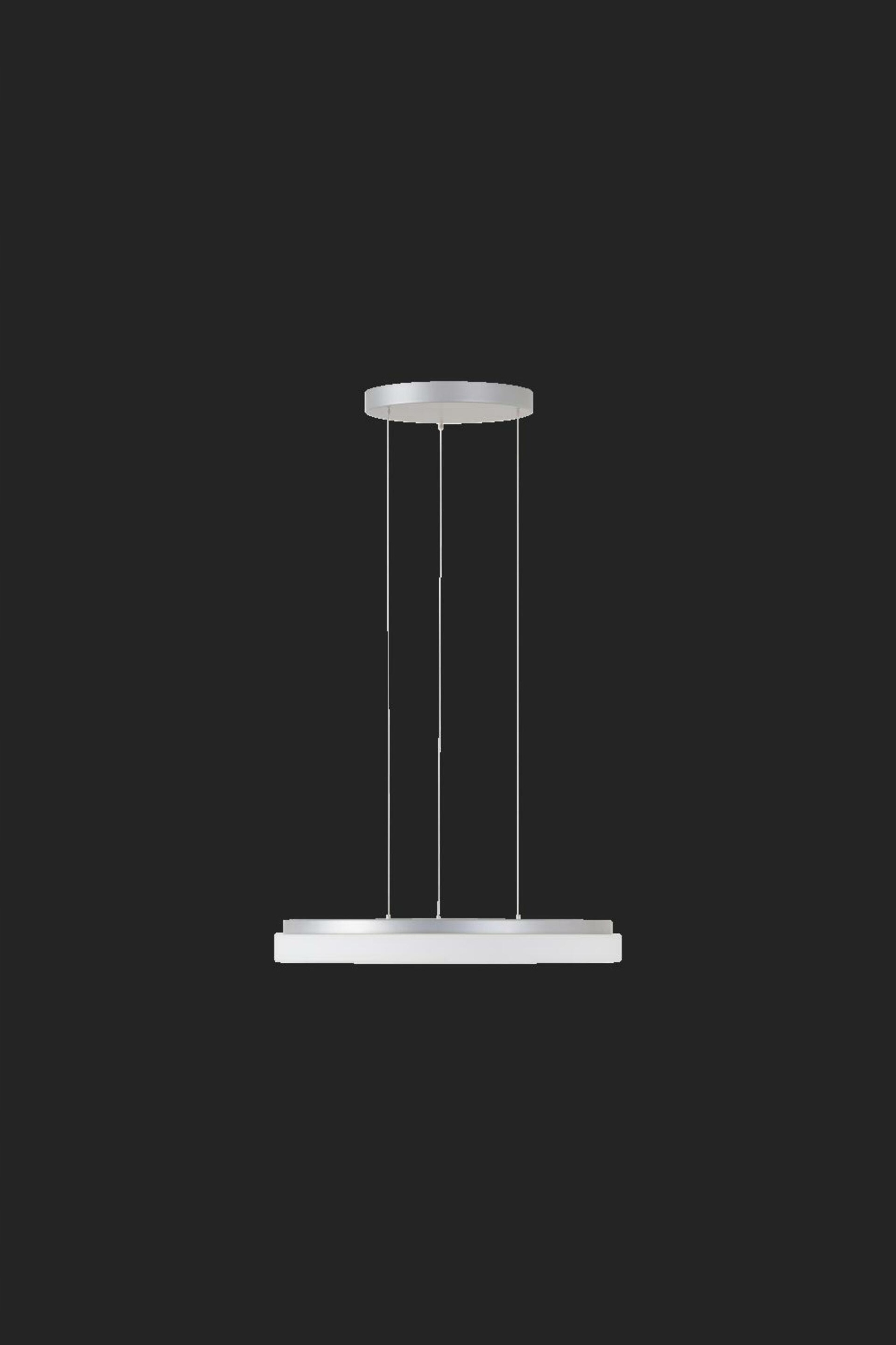 Osmont 66884 Carina LE2 závesné sklenené svietidlo strieborná biela IP40 4000