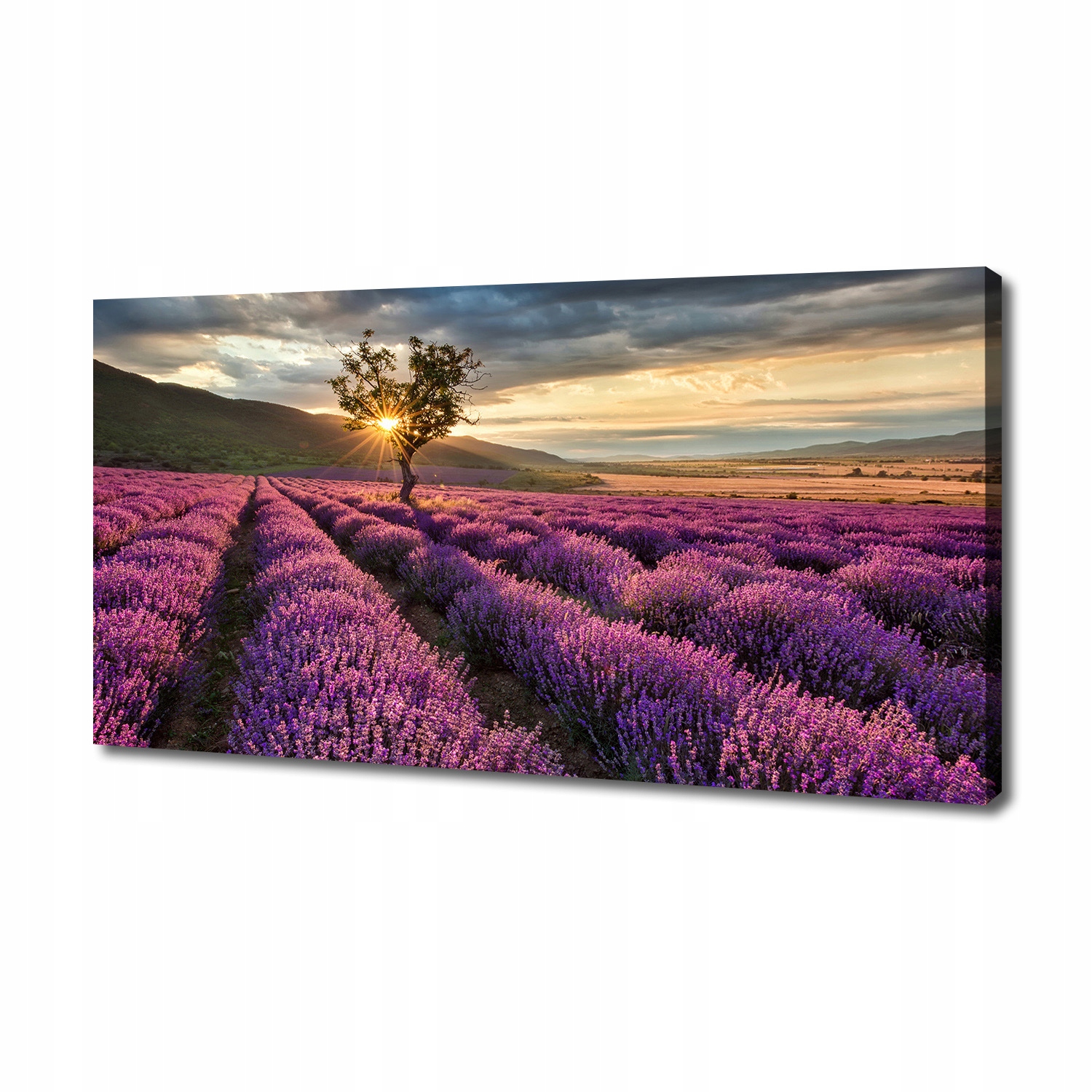 

Foto obraz duży na płótnie Pole lawendy 140x70 cm