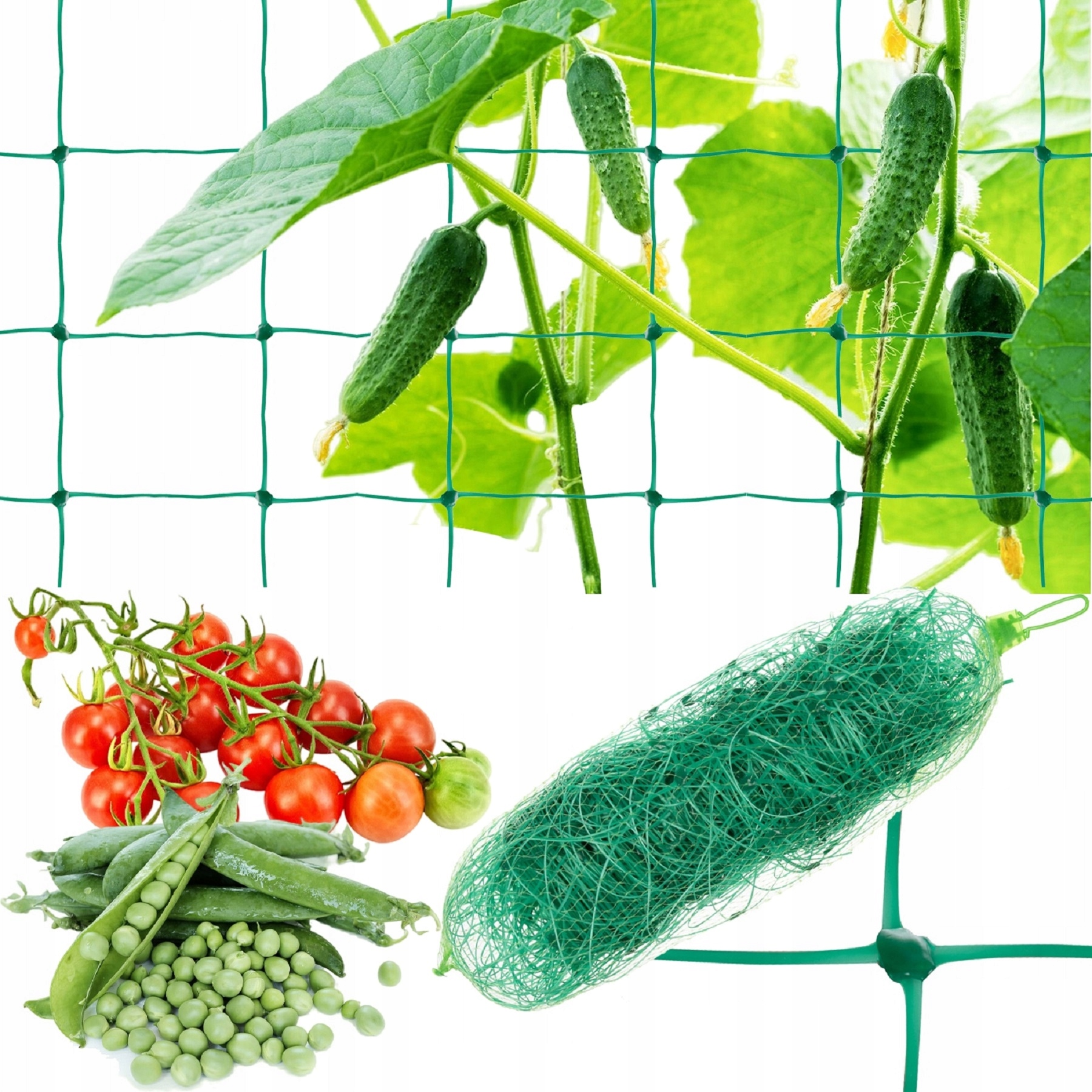 SIATKA ogrodowa DO ROŚLIN PNĄCYCH PNĄCZY PODPORA 180x500CM DRABINKA OGÓRKÓW