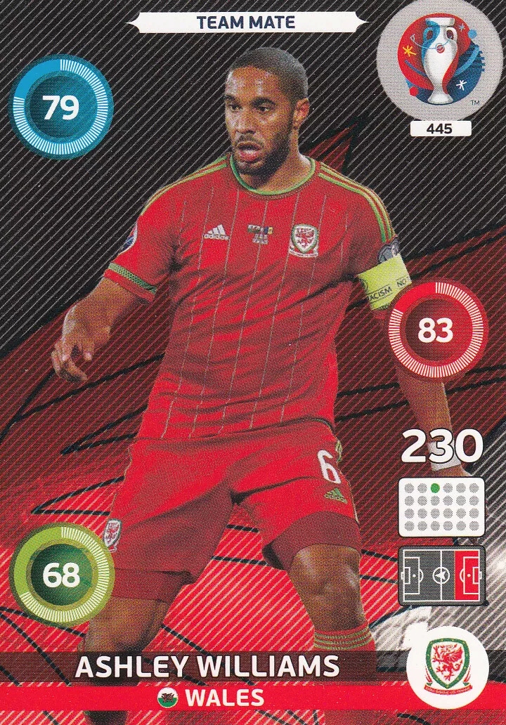 Uefa Euro 2016 Team Mate Ashley Williams 445