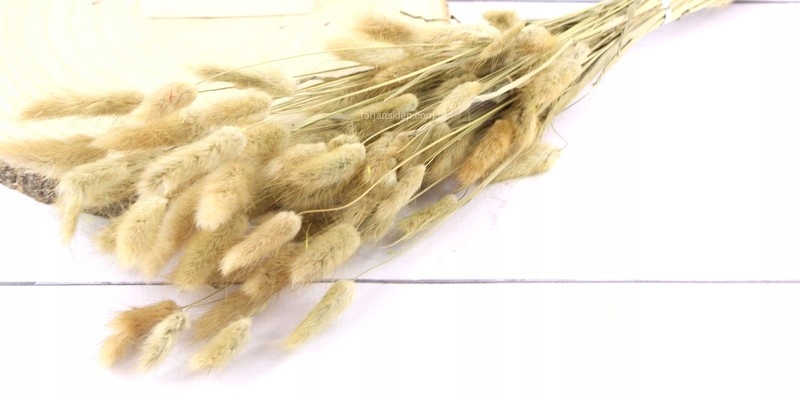 

Dmuszek, Naturalny Susz Kolor Naturalny