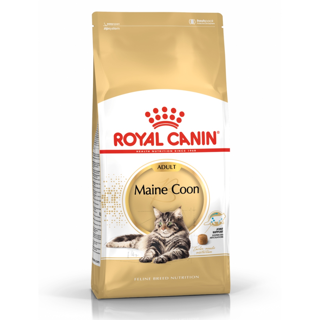 Royal Canin Maine Coon Adult 4kg Karma Sucha Dla Kotów Dorosłych
