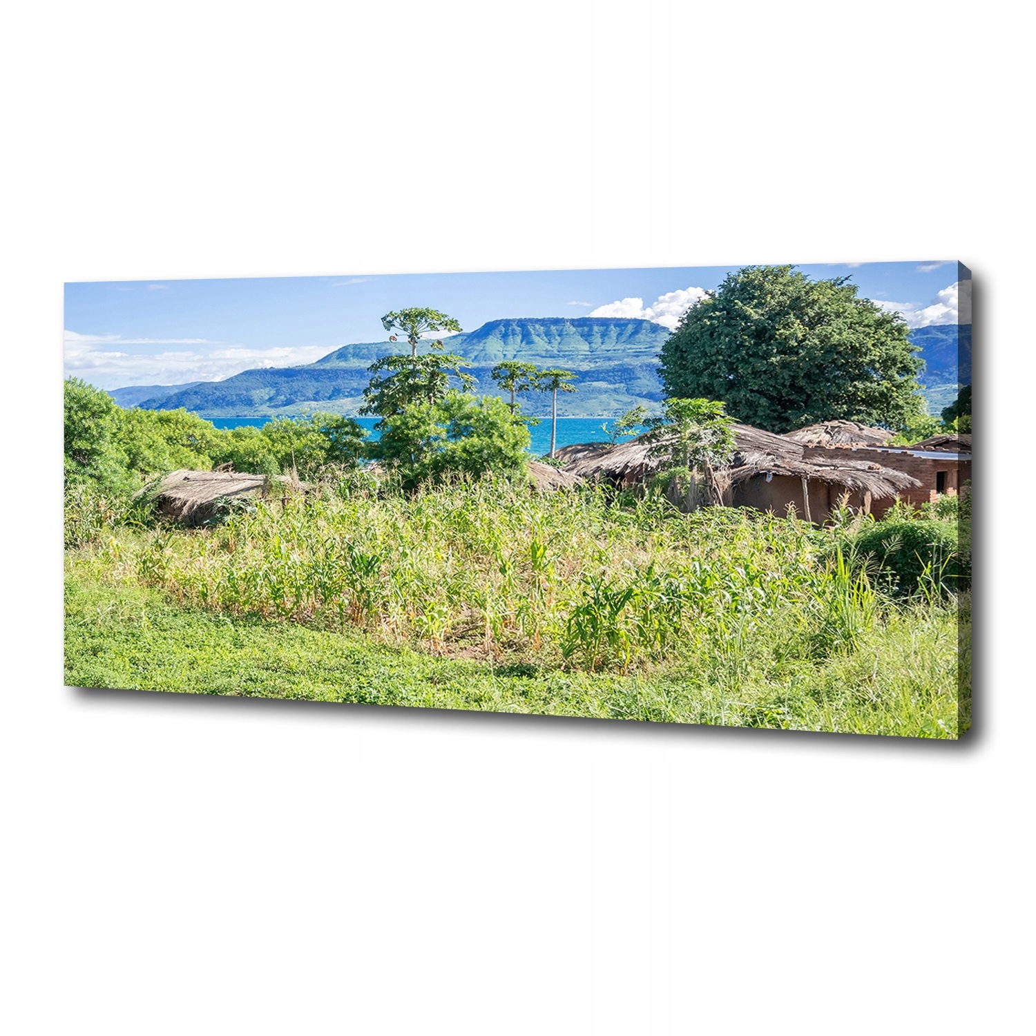 

Foto obraz na płótnie Jezioro Malawi 125x50 cm