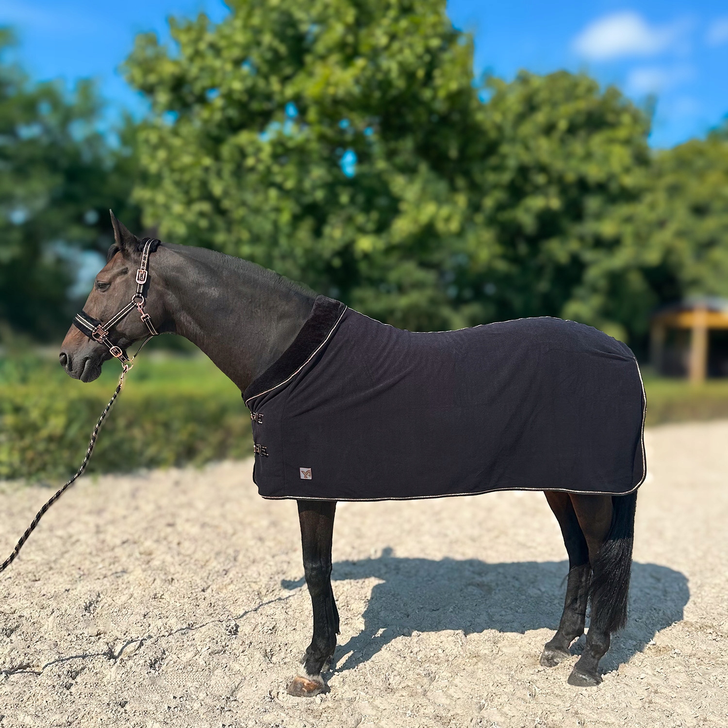 Deka pro koně York Gold Star, fleecová, černá barva, velikost 145 cm
