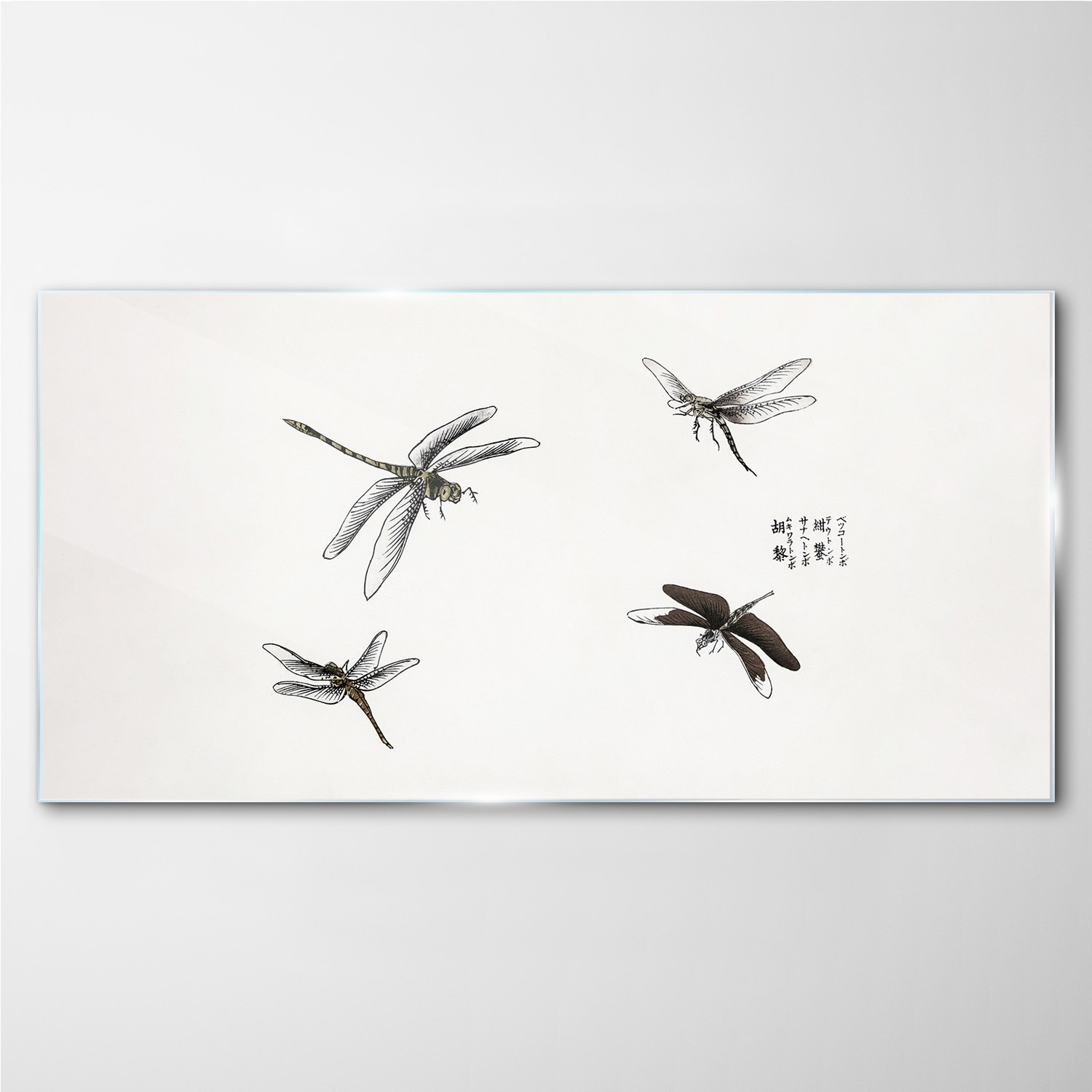 

Obraz na ścianę szklany Owady robaki 100x50 cm