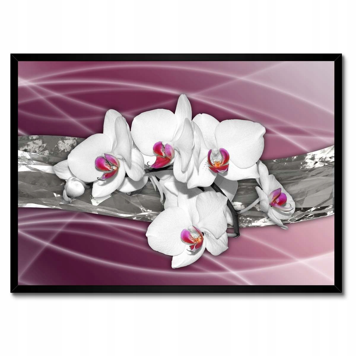 Plakáty v rámu 70x50 Bílé orchideje na růžovém pozadí