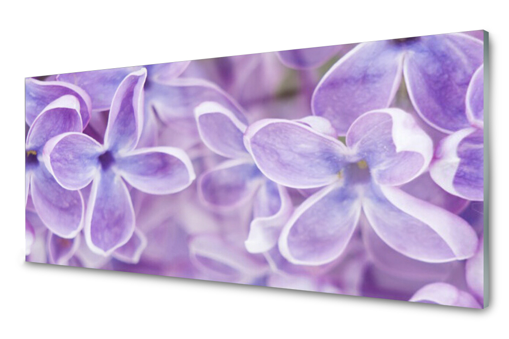 

Panel szklany do kuchni Kwiaty Roślina 125x50