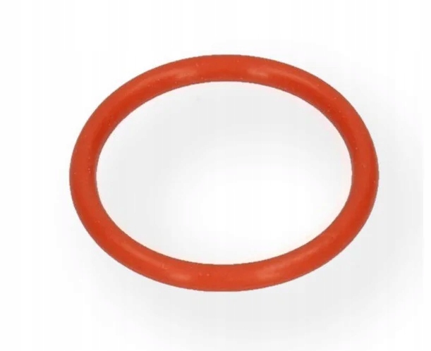 DeLonghi uszczelka zaparzacz miękka