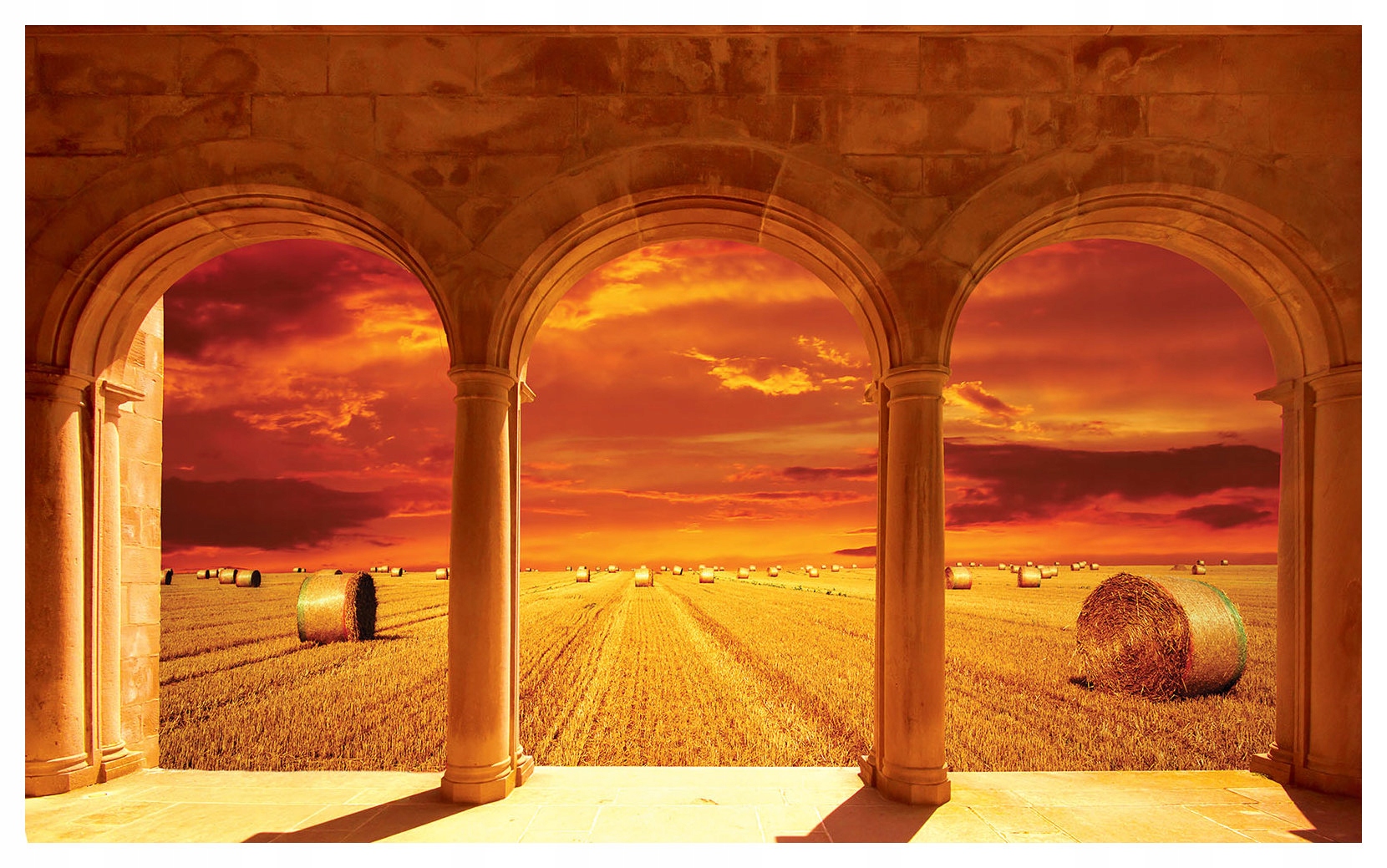 Fototapeta Západ slunce nad pšeničným polem s oblouky 254x184 lepidlo