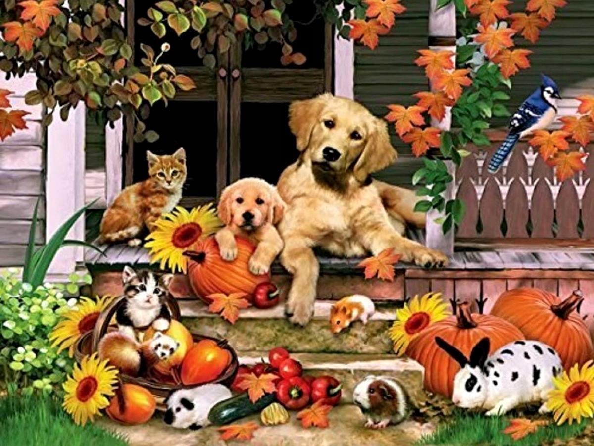 

Mozaika Diamentowa Malowanie Diamentami Diamond 5D