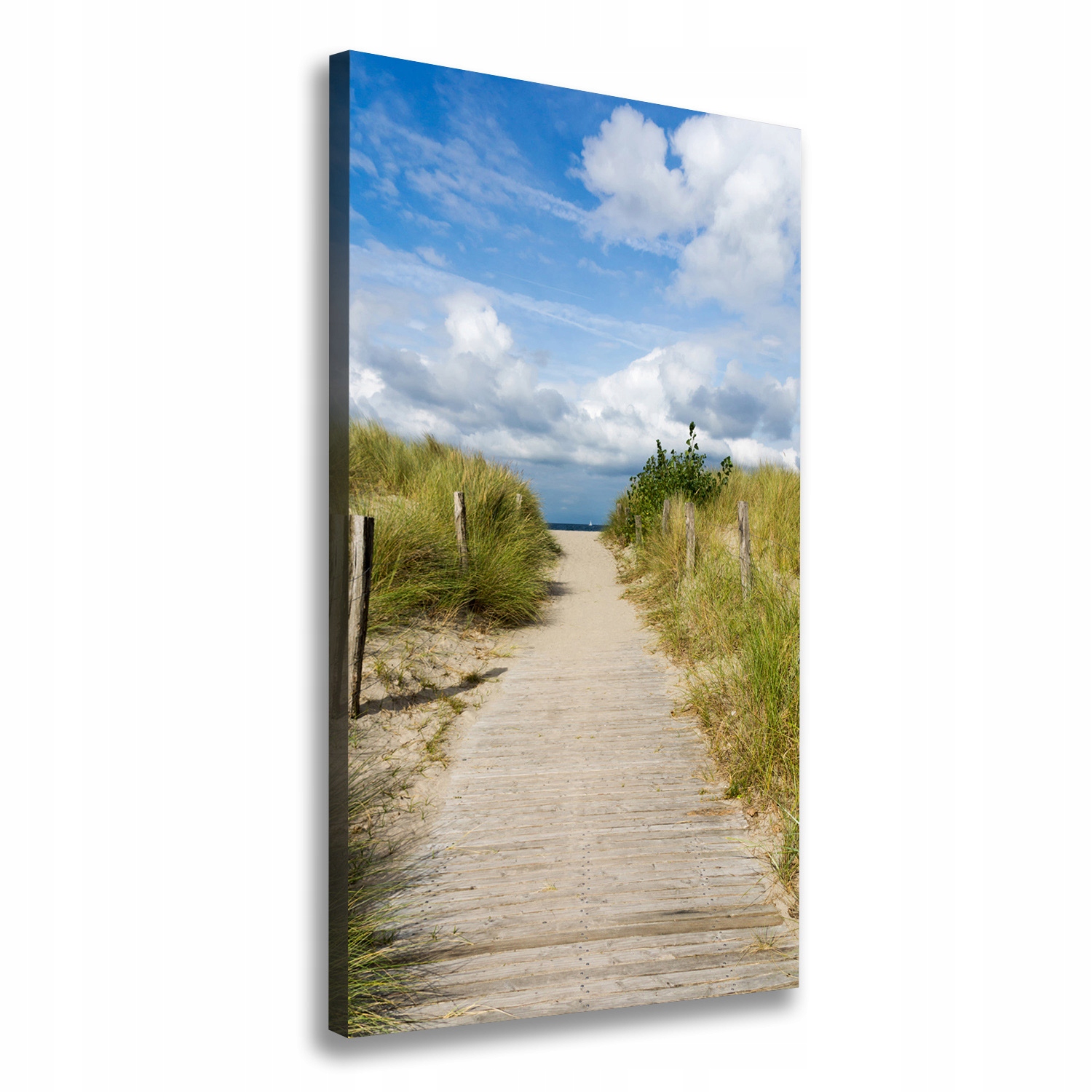 

Foto obraz na płótnie Ścieżka na plażę 60x120 cm