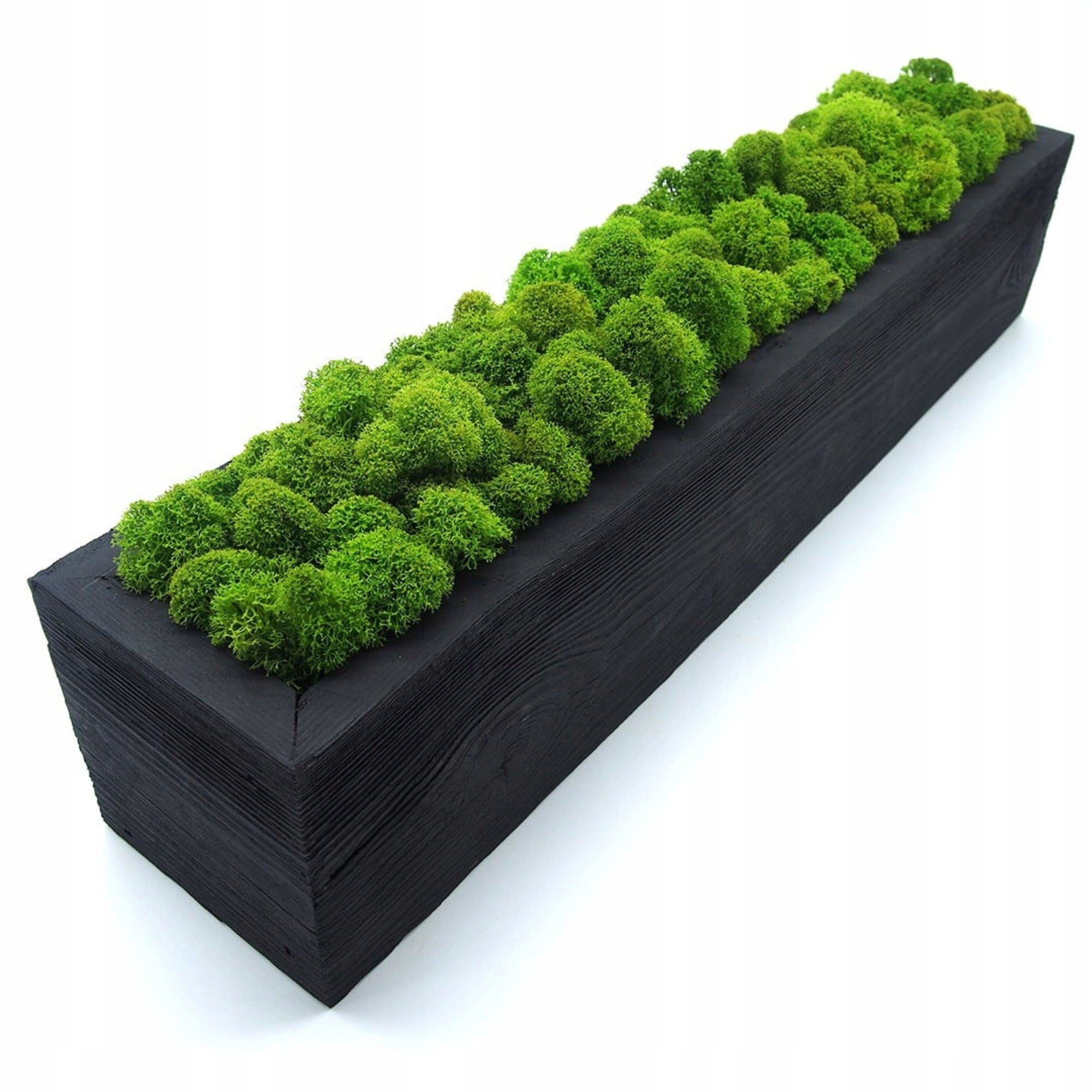 Květináč s mechem Chrobotkem dřevěný Květináč ze starého dřeva Černý