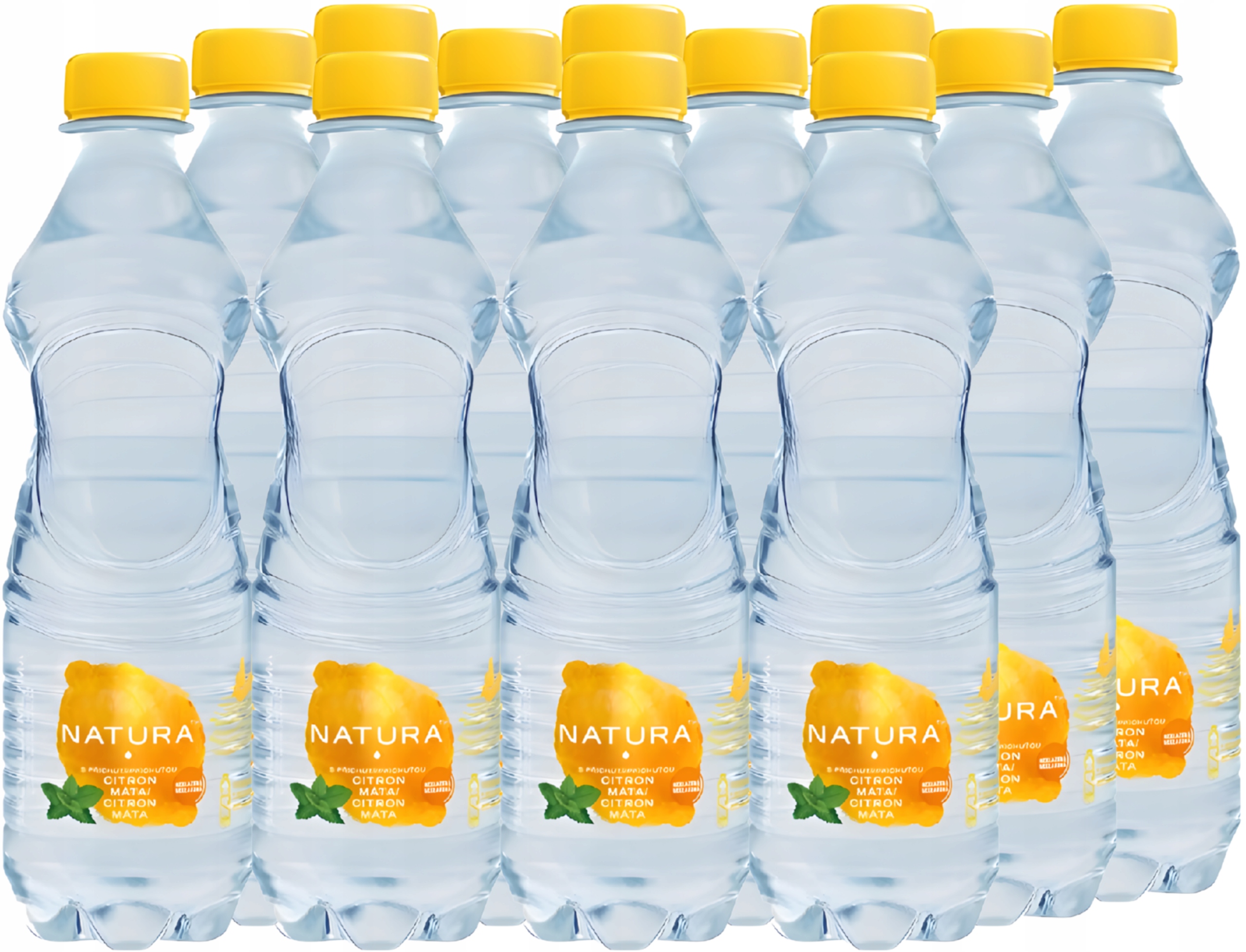Natura S příchutí citron máta 12×500ml