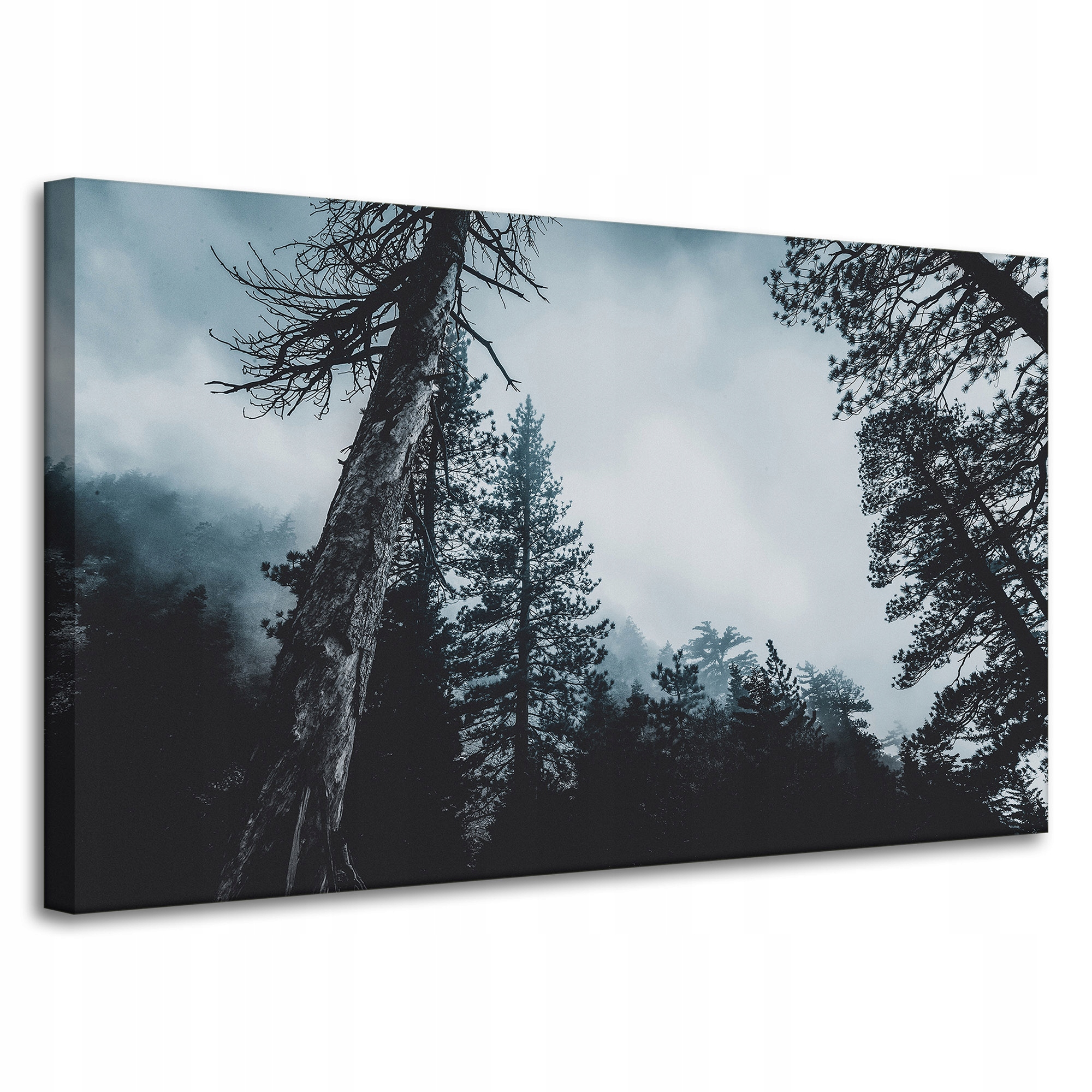 Obraz na plátně Příroda Koruny Stromů Les 100x60 cm