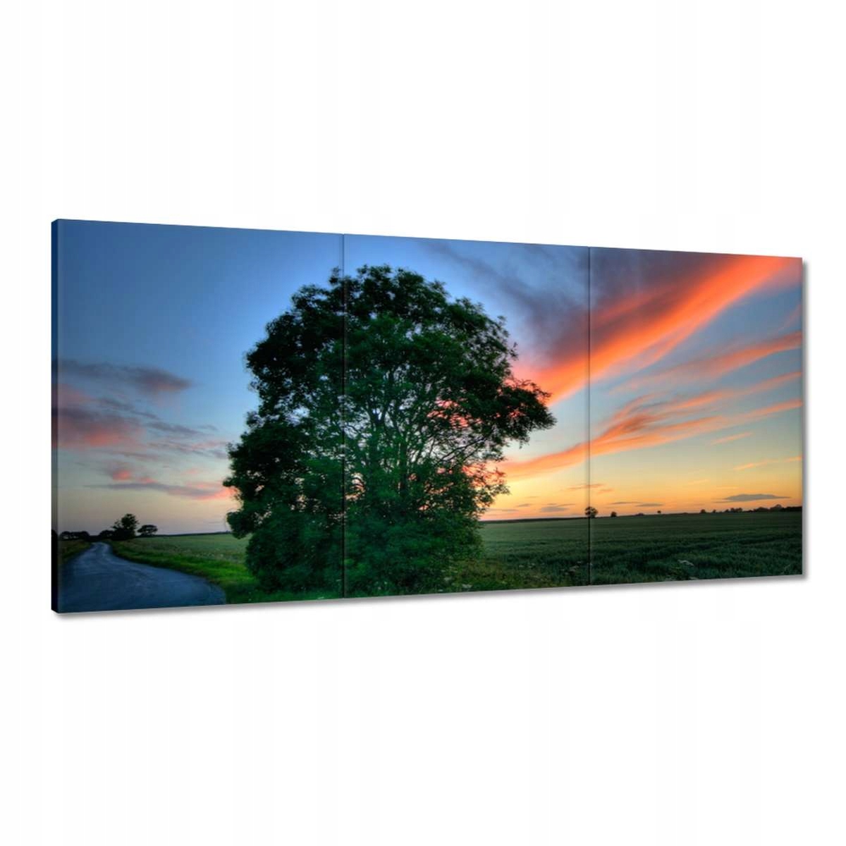 Obrazy 180x90 Horiaca obloha