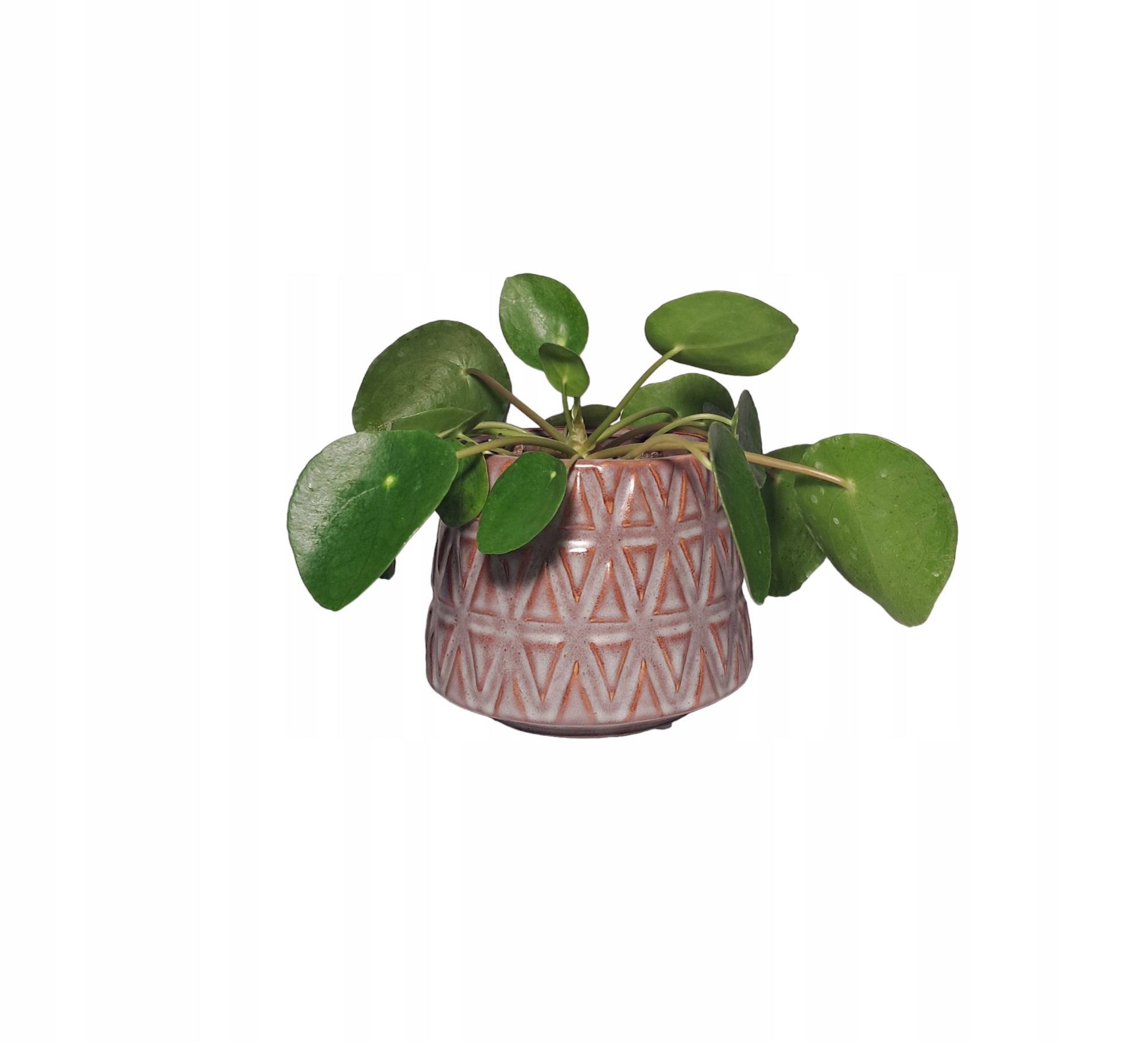 Osłonka Donica Ceramiczna 15x12 cm odcienie brązu Marka bez marki