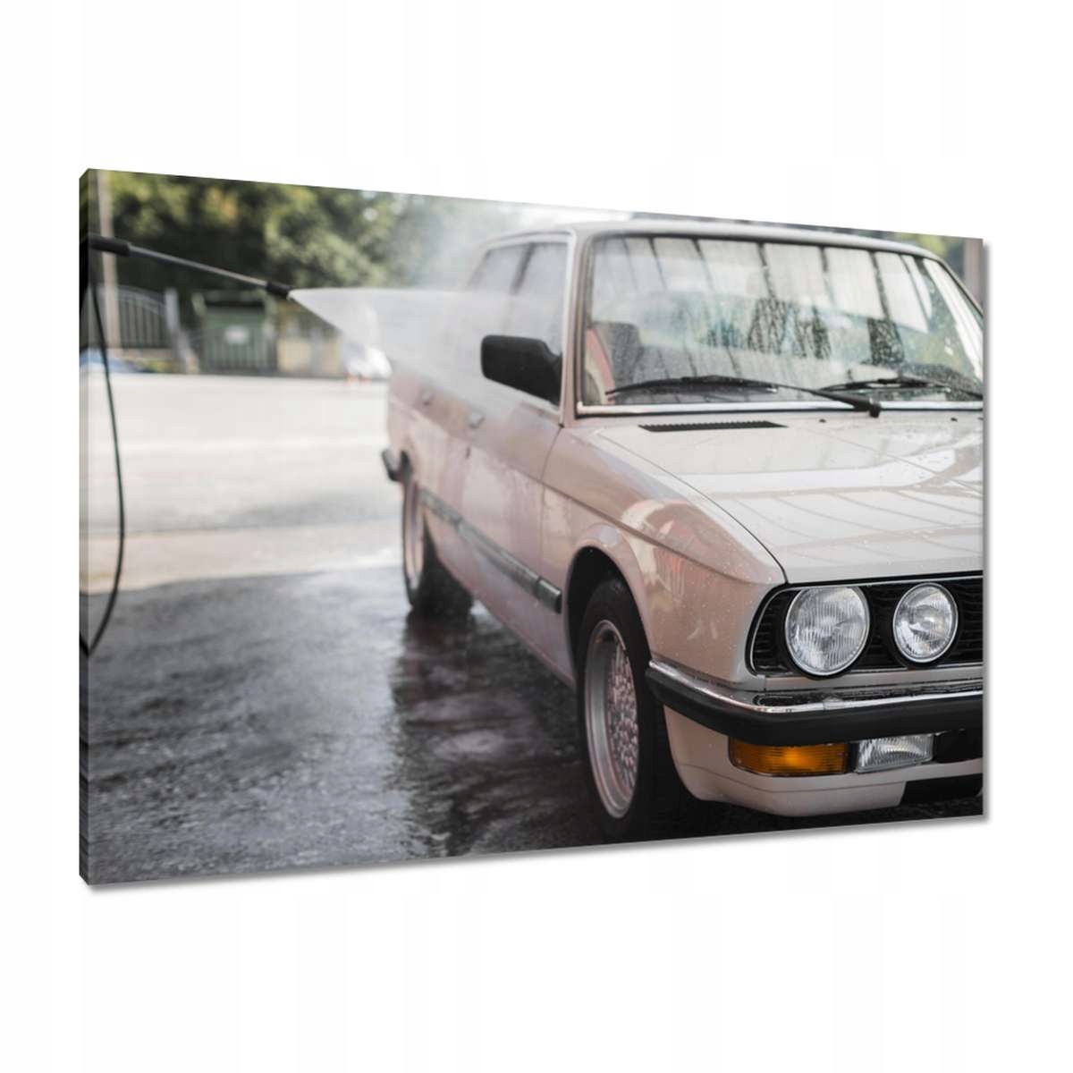 Obrazy 100x70 Žralok Klasické Bmw Auto