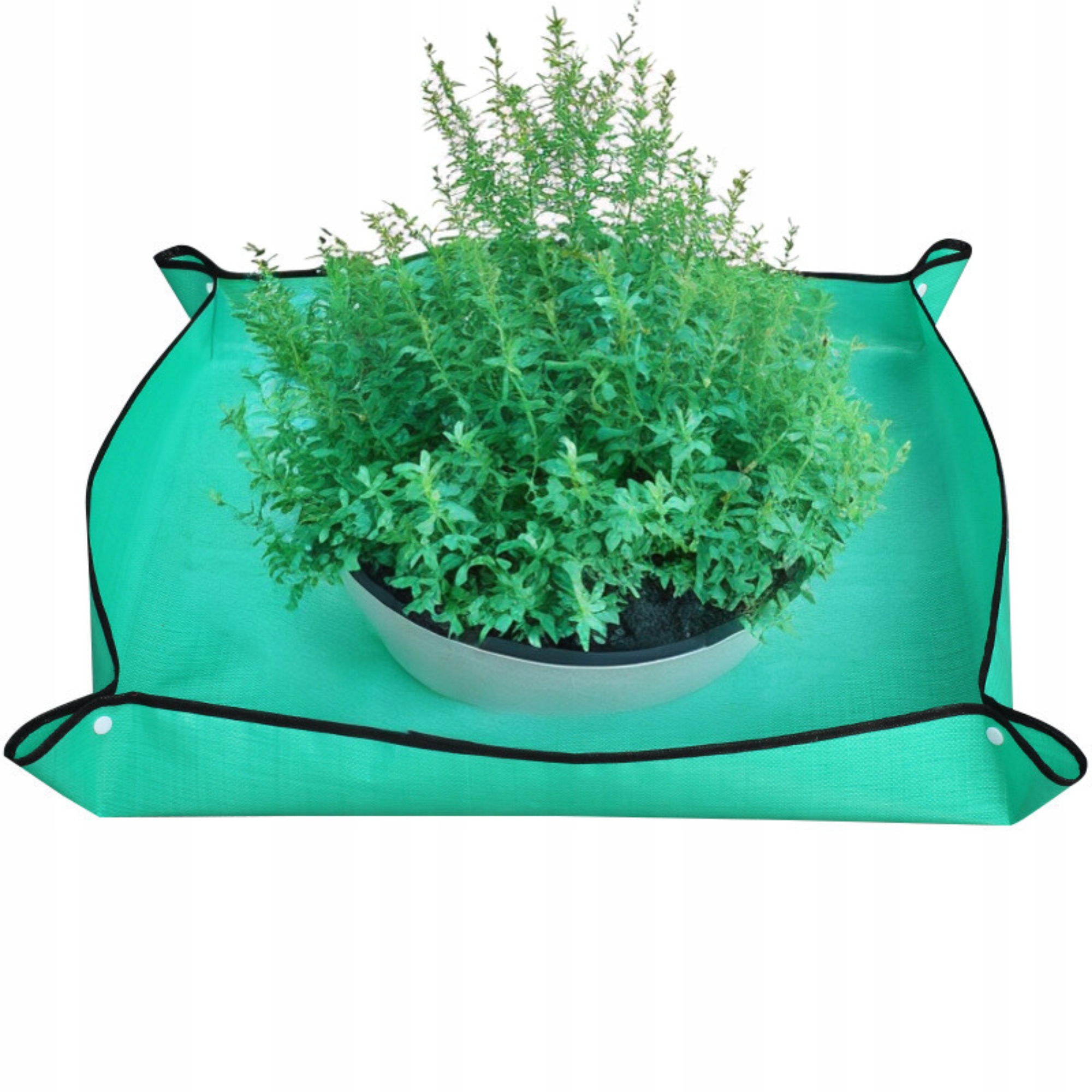 MATA PODKŁADKA DO PRZESADZANIA SADZENIA KWIATÓW ROZSAD ROŚLIN MEDIUM Marka inna